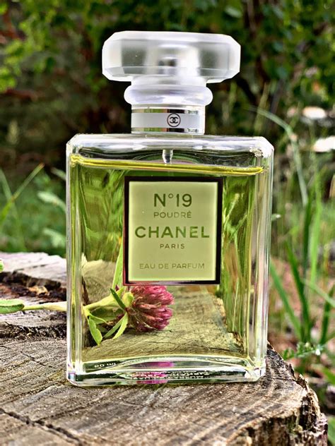 chanel no 19 poudre